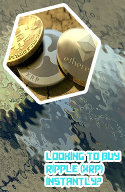 Buy xrp on cryptocom