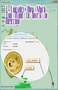 How much dogecoin