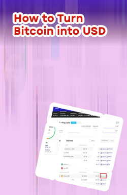 How to convert btc to usd